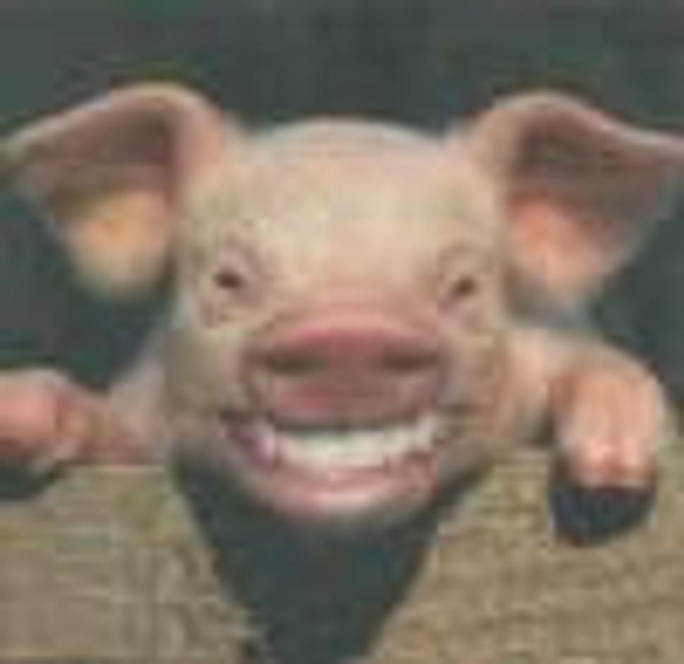 Obrázok blogu
