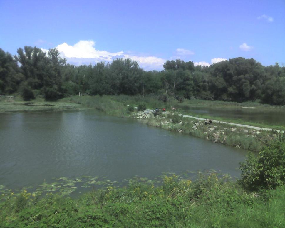 Obrázok blogu