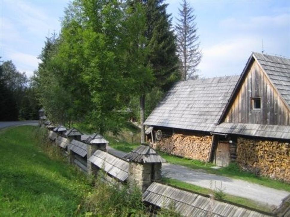 Obrázok blogu