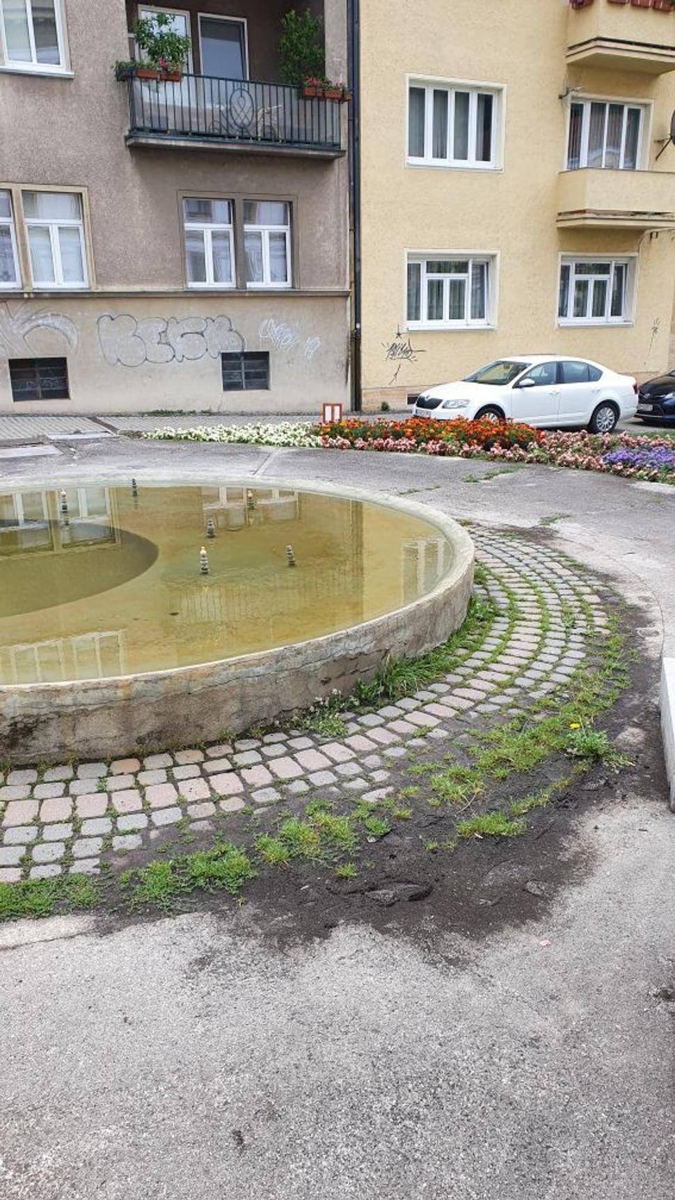 Obrázok blogu