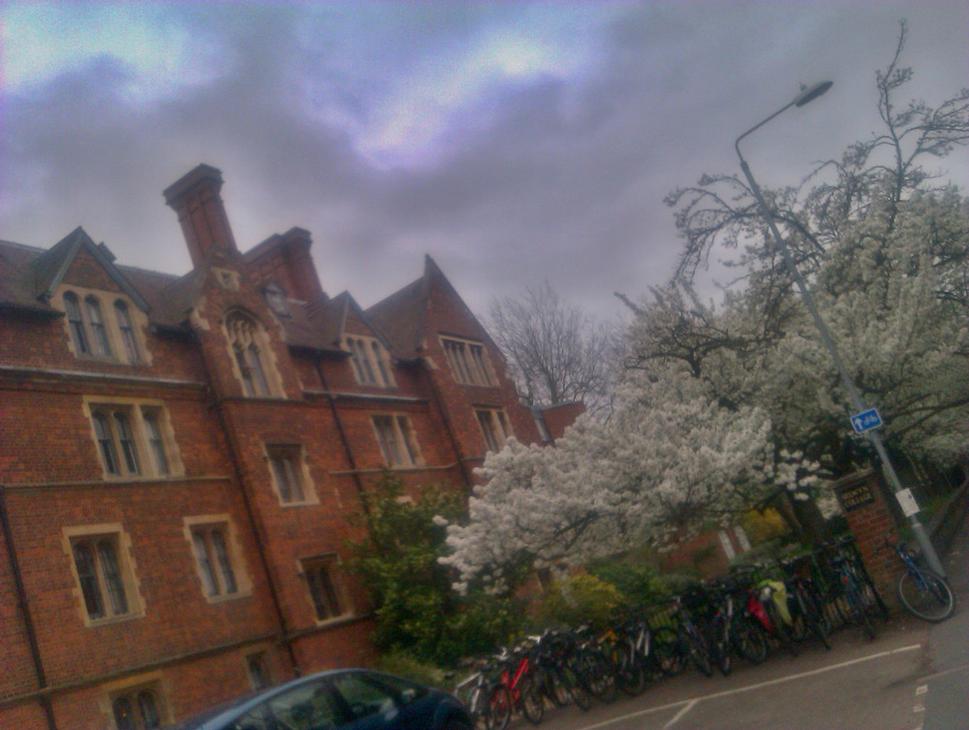 Selwyn College