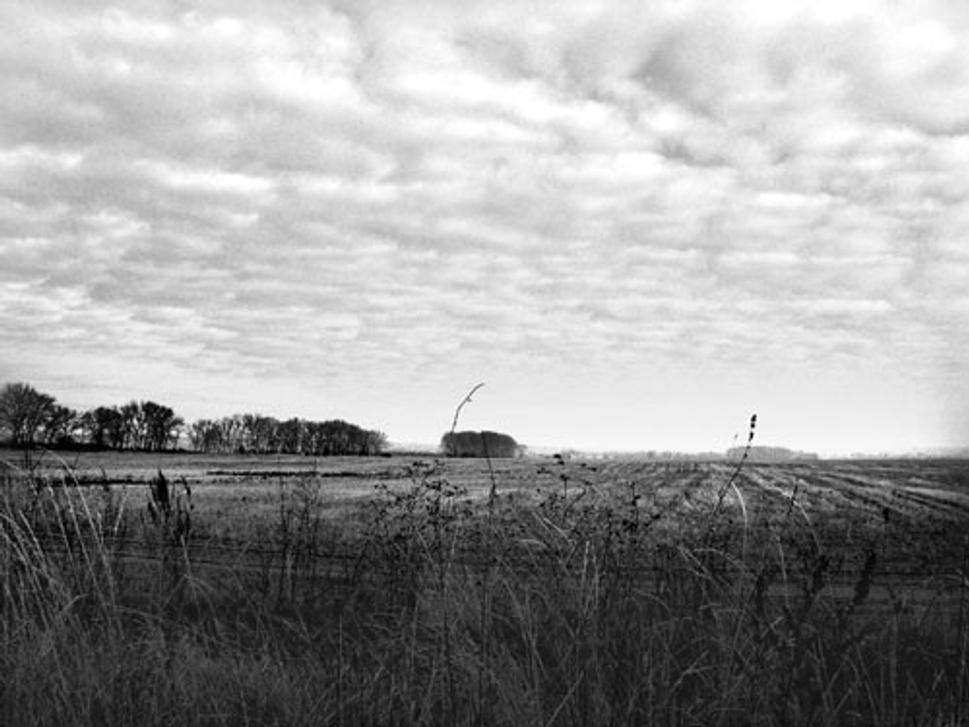 Šedivá panoráma