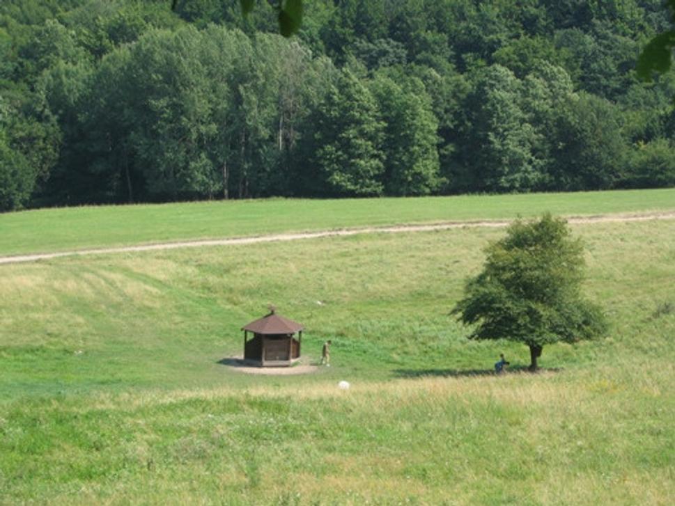 Obrázok blogu