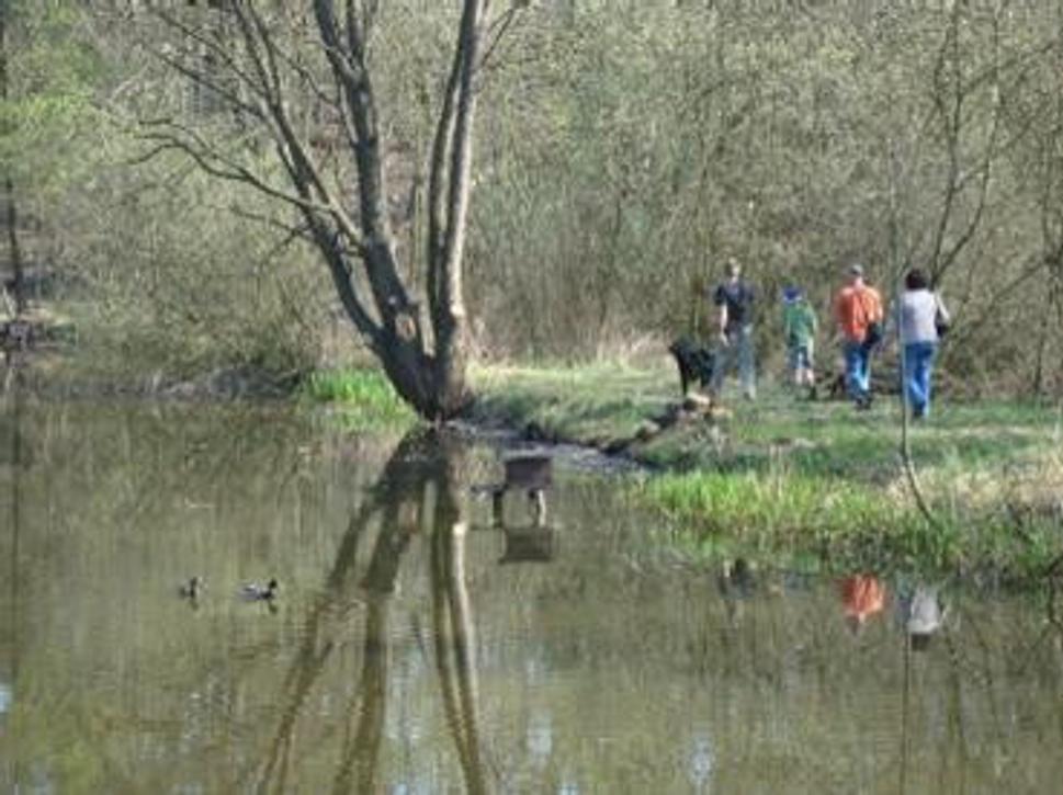 Obrázok blogu