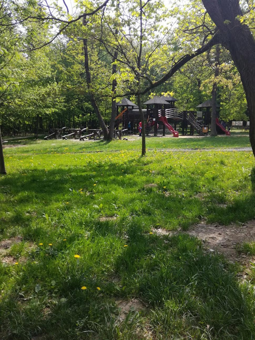 Zničené ihrisko (Lesopark), Žilina