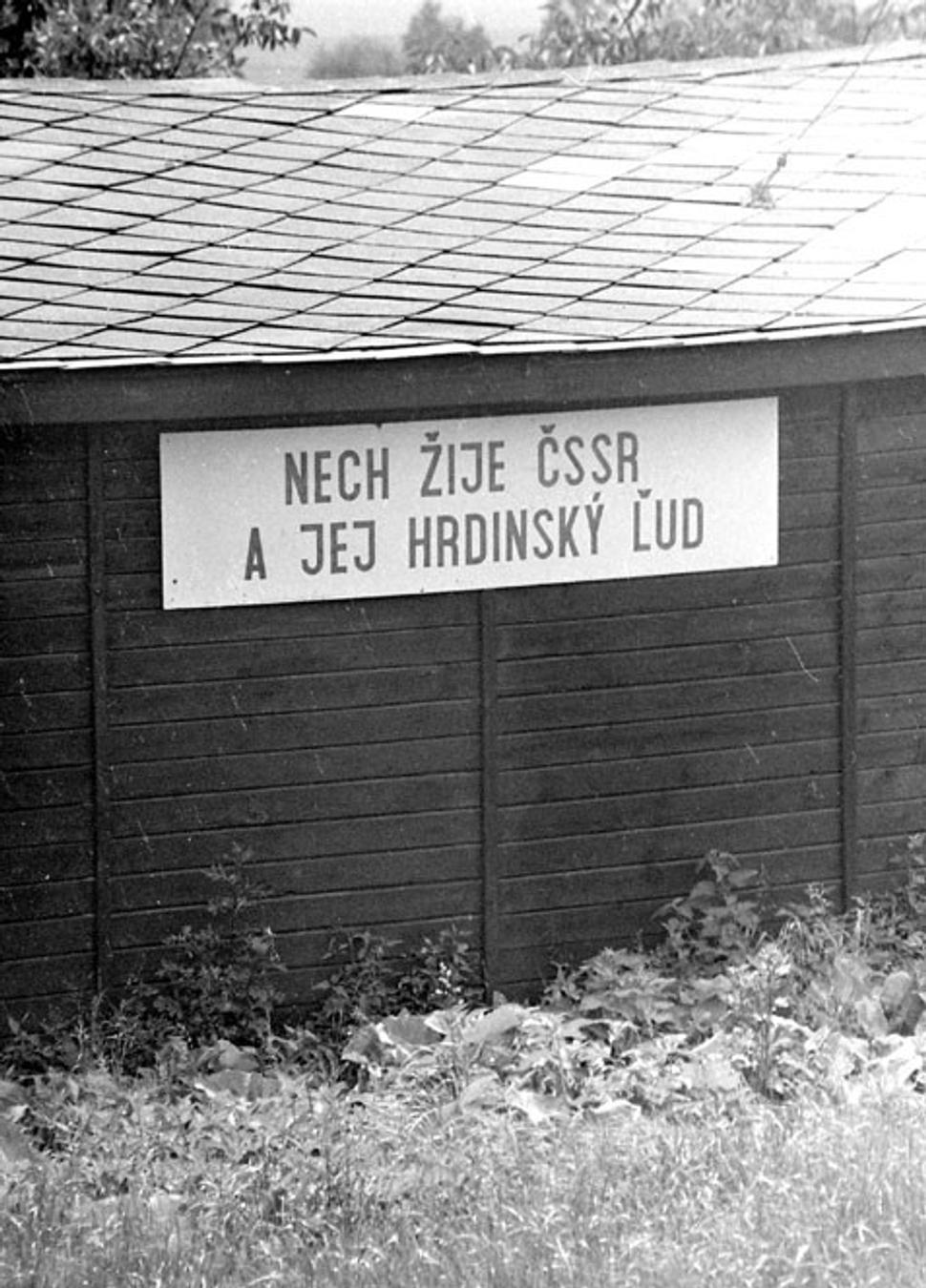 Obrázok blogu