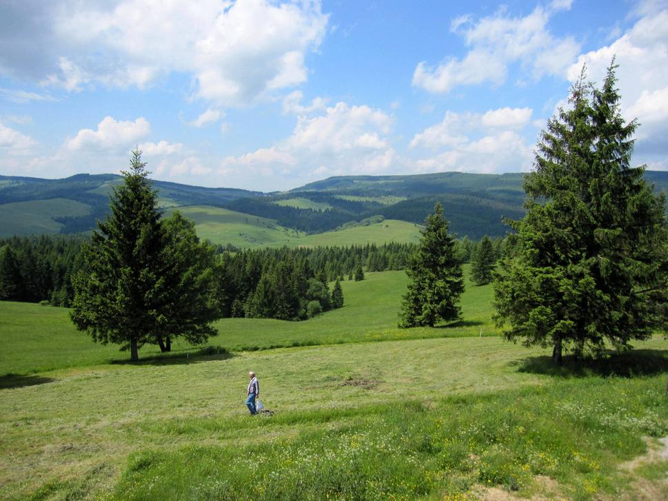 oravská krajinka