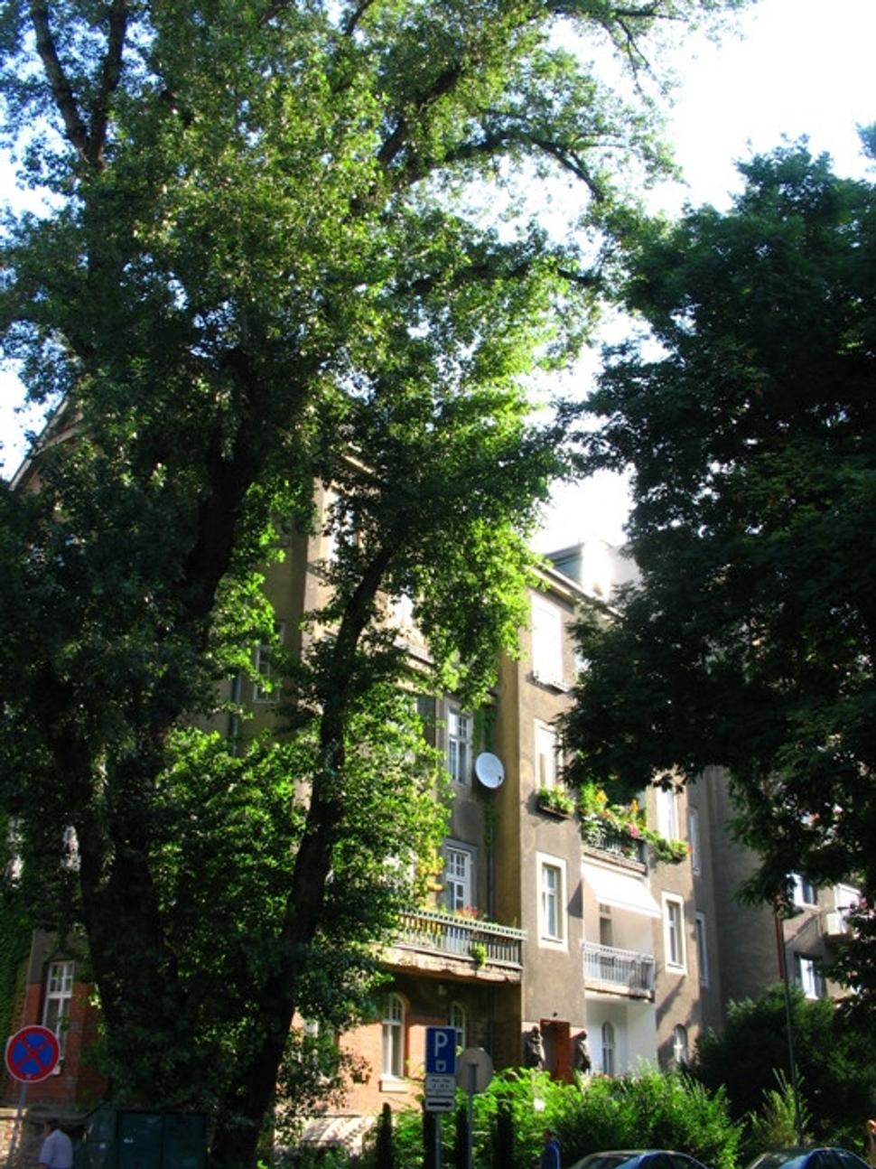 Obrázok blogu