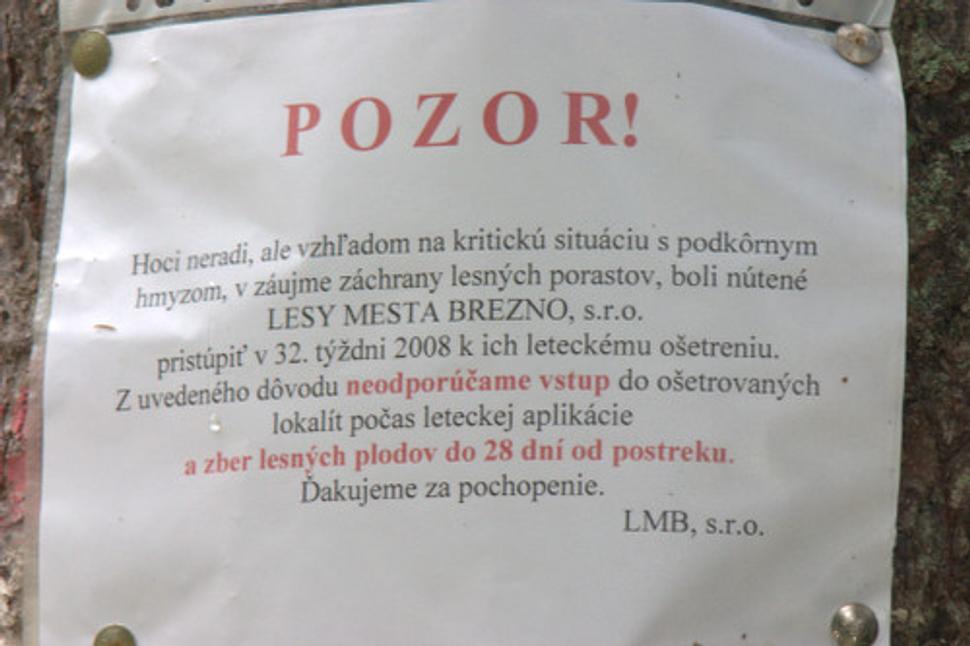 Obrázok blogu
