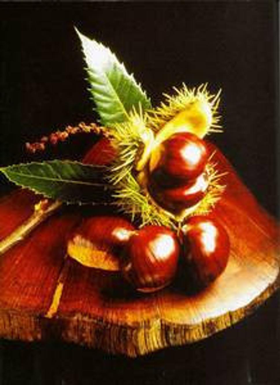 http://www.chestnutfarmvic.com