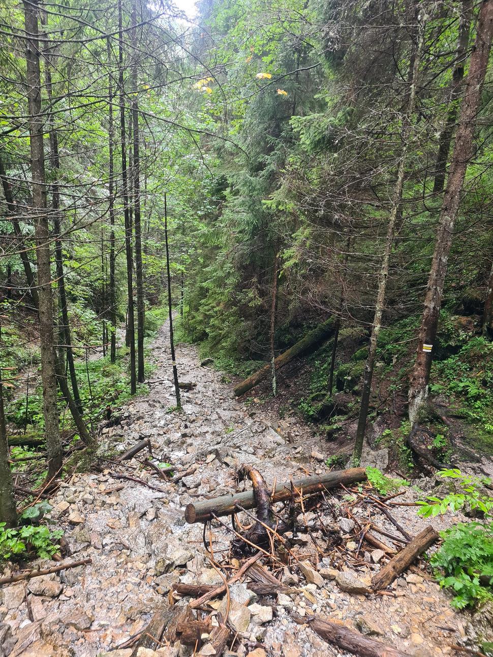 Slovenský Raj