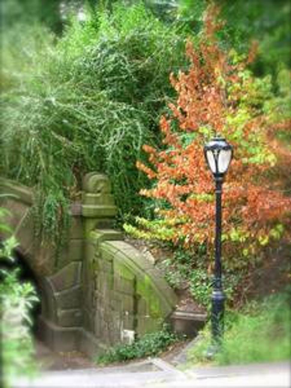 Central Park