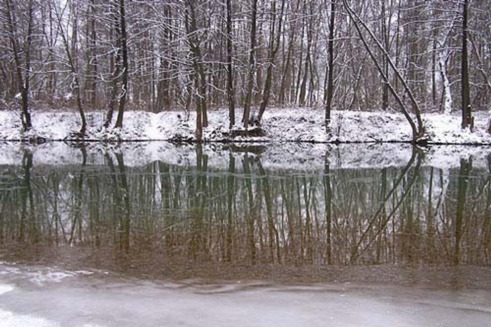Obrázok blogu