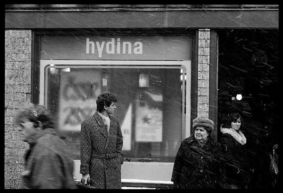 • Ľubo Stacho: Výklad hydina, Obchodná ulica č. 24 (1984 - 2013) •