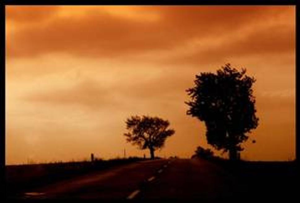 Road is the way