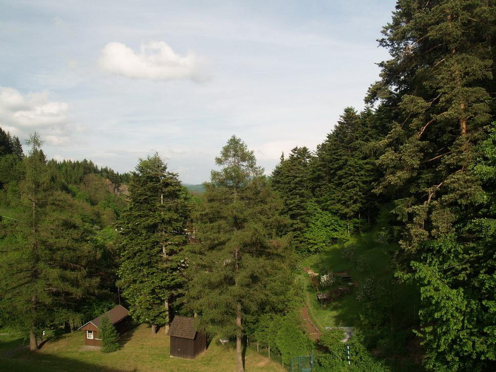 Obrázok blogu