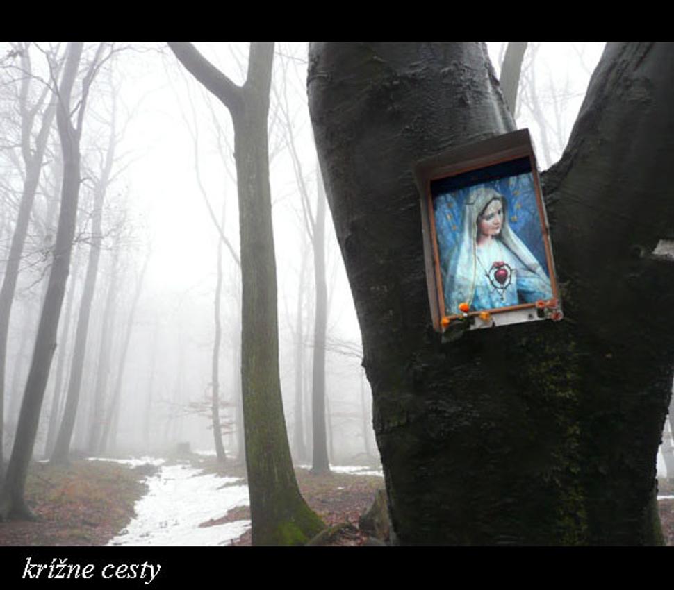 Obrázok blogu