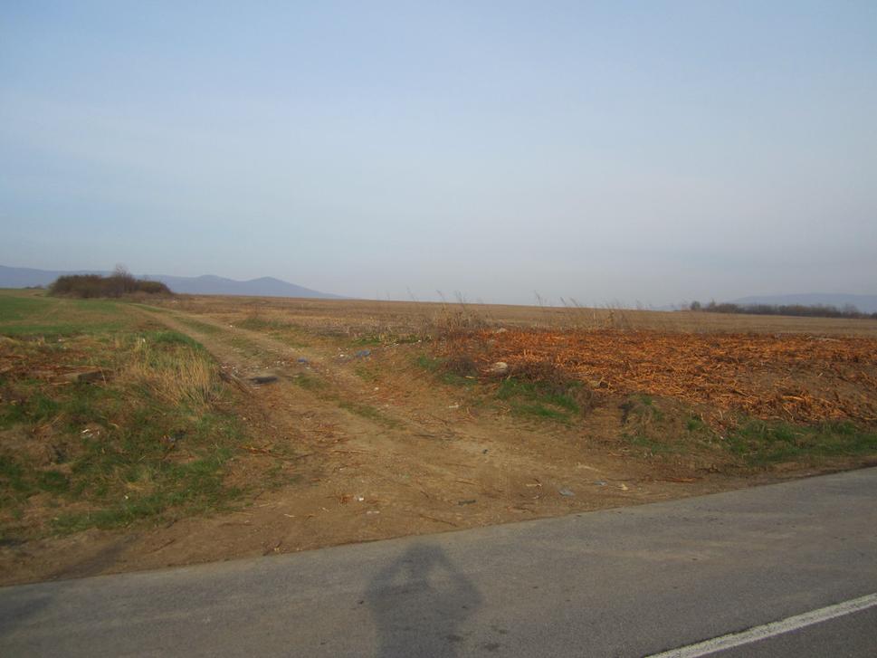 Obrázok blogu