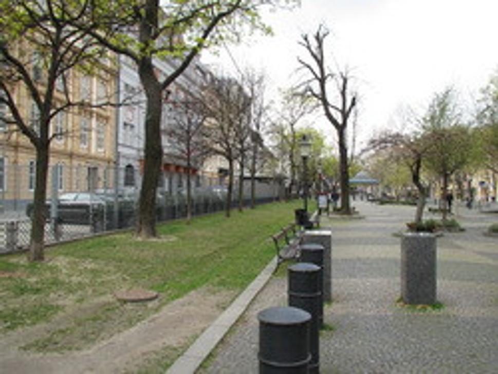 Obrázok blogu