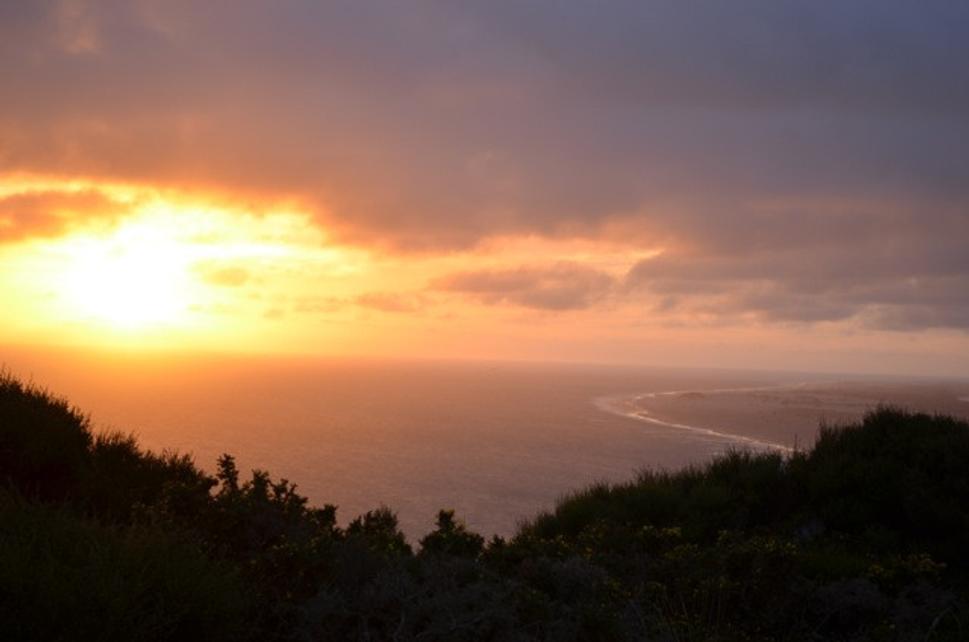 Farewell spit