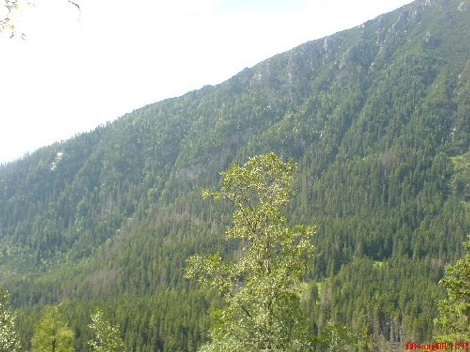 Obrázok blogu
