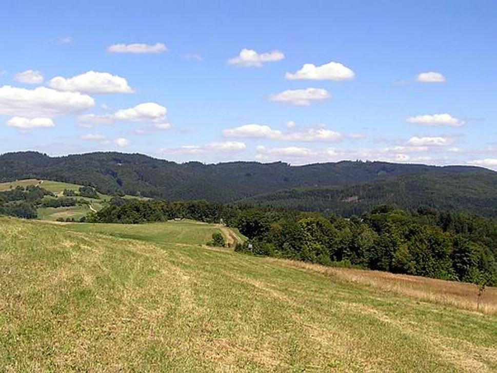 Obrázok blogu