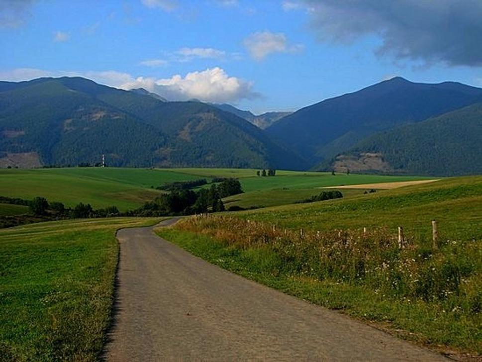popri ceste
