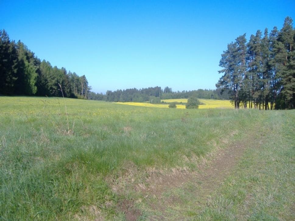 Obrázok blogu
