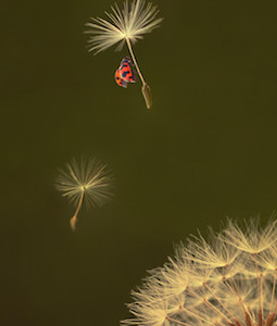 I Believe I can fly