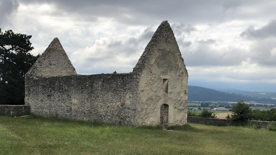 Haluzice