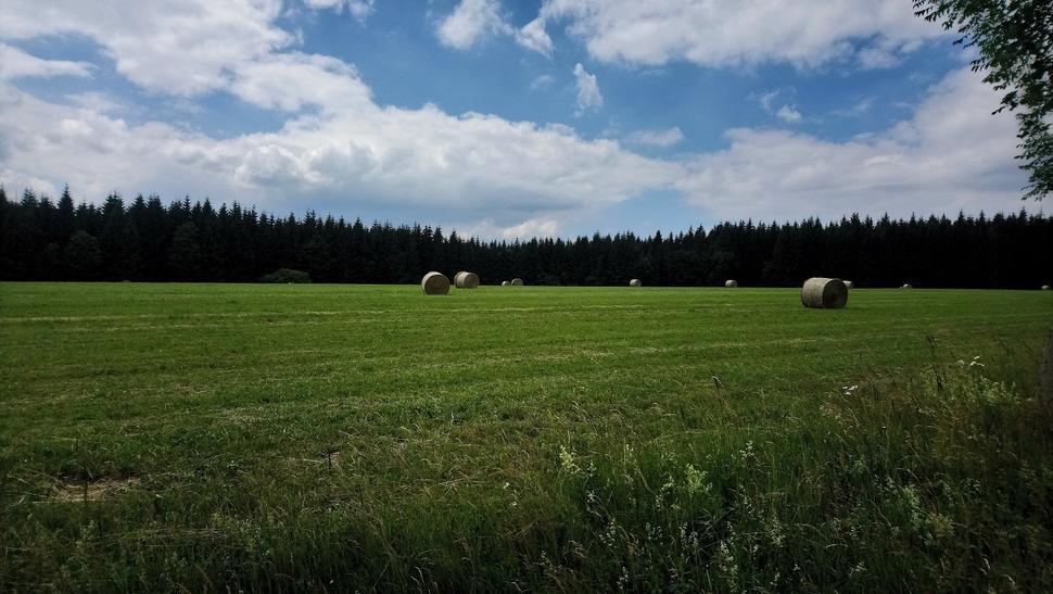 Polia pri obci Ryžoviště