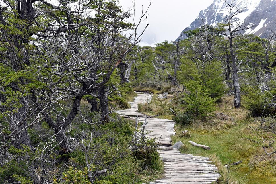 park kombinuje zelené planiny, lesy, strmáky do hôr, sňäh, jazerá a sem tam aj bažiny - preto tie laty