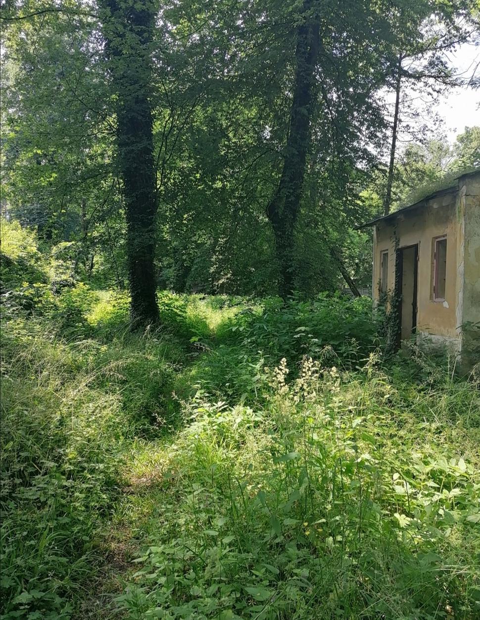 Obrázok blogu