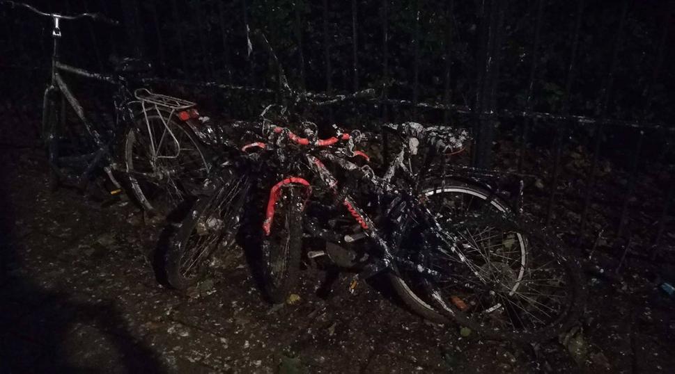 odparkované bicykle pod stromami kde asi býva veľa holubov =)