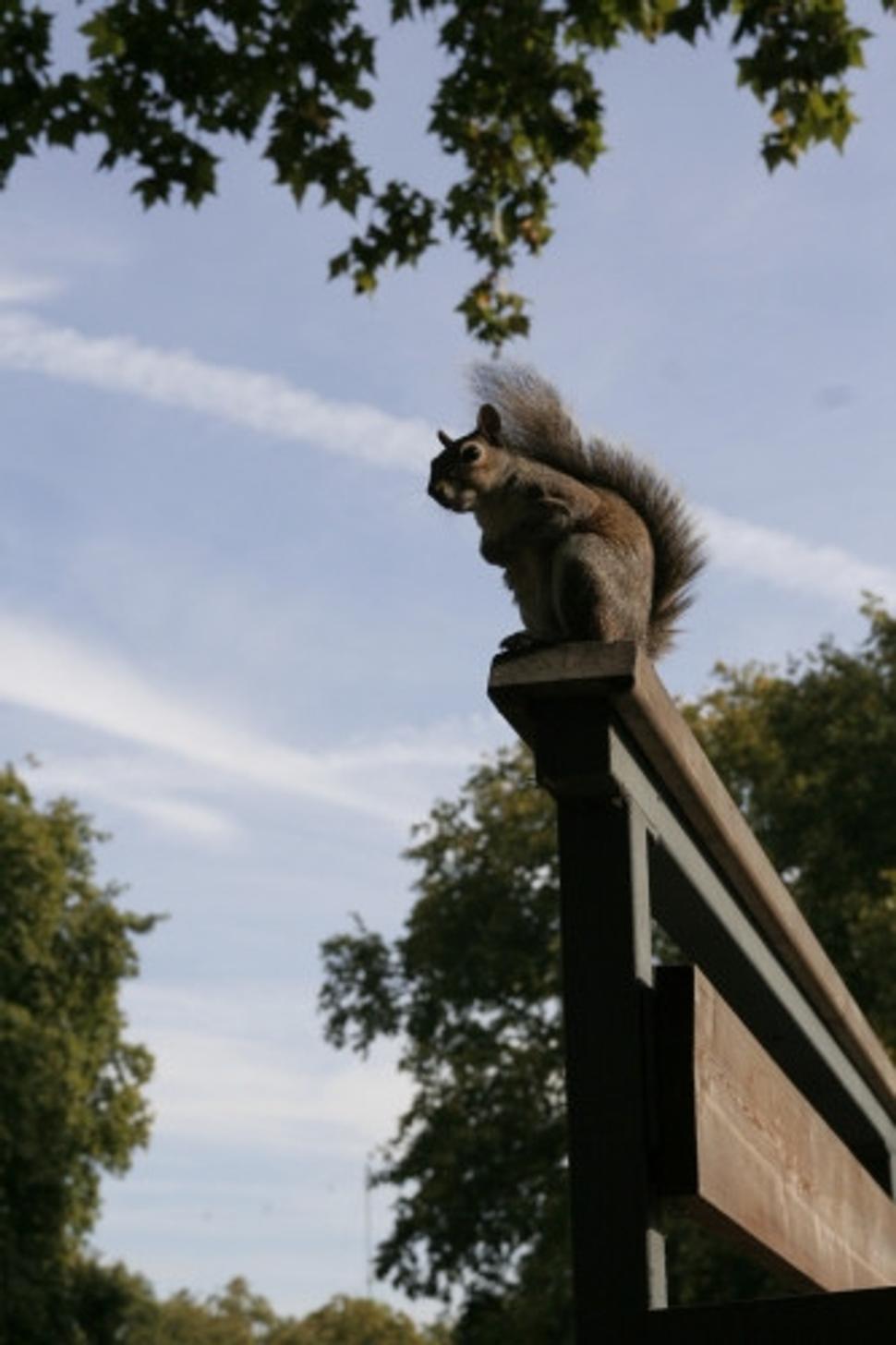 St. James's Park
