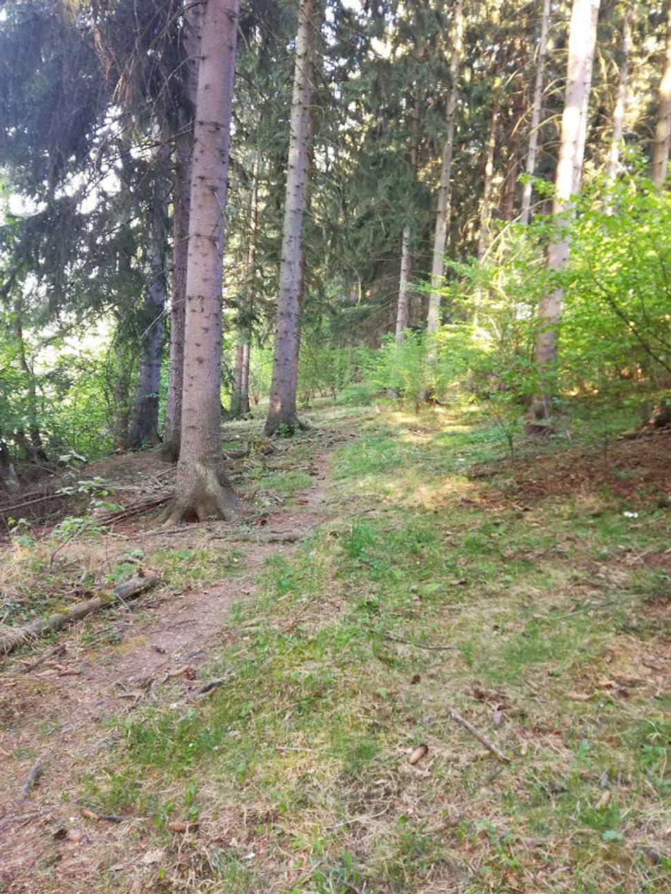 Cesta na vyhliadkovú vežu.