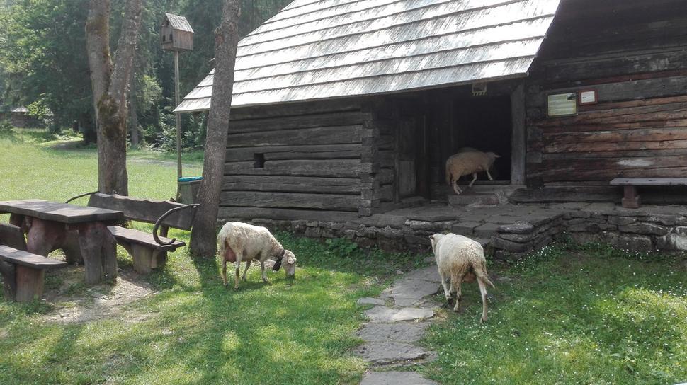 Chýbať, samozrejme, nesmú ani pasúce sa ovce.