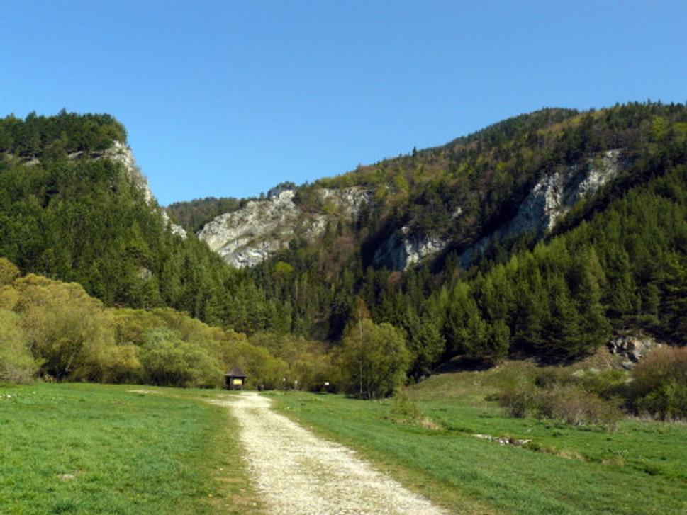 Obrázok blogu