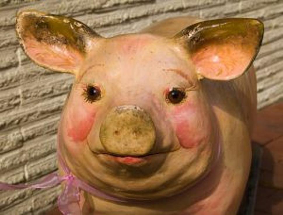 Obrázok blogu