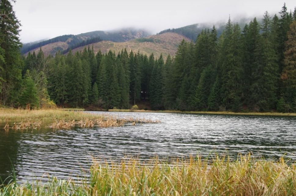 Vrbické pleso, Demänovská dolina