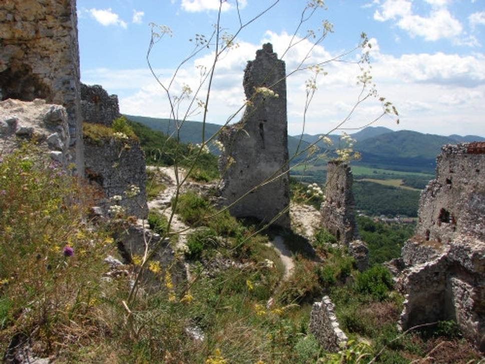 Obrázok blogu