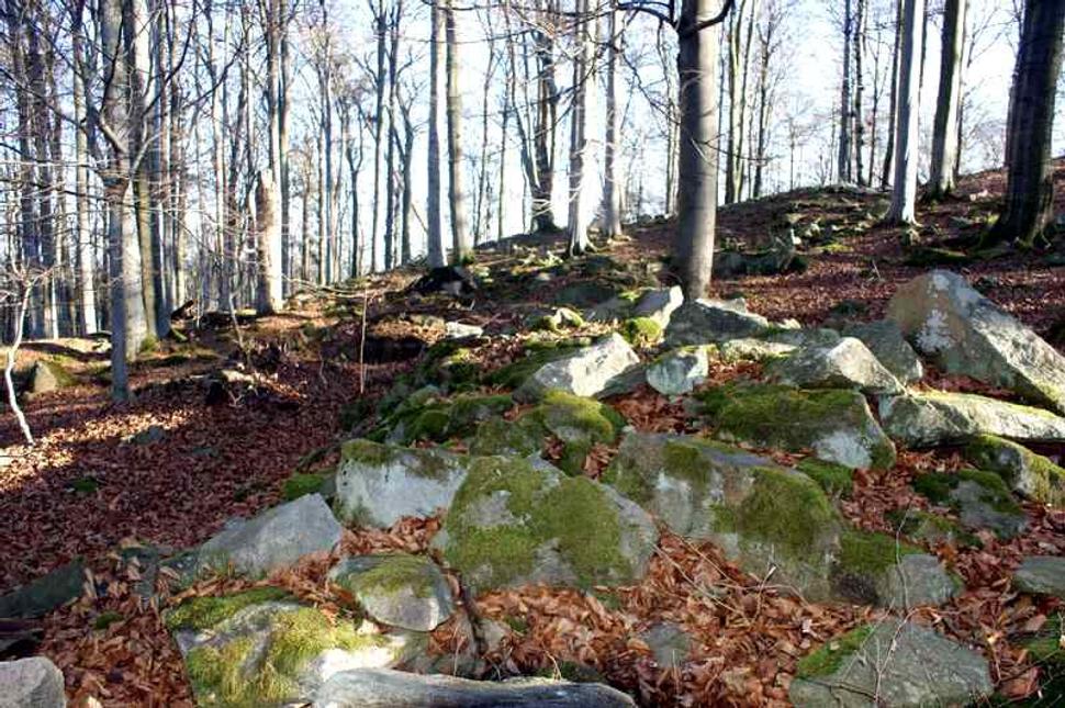 Obrázok blogu