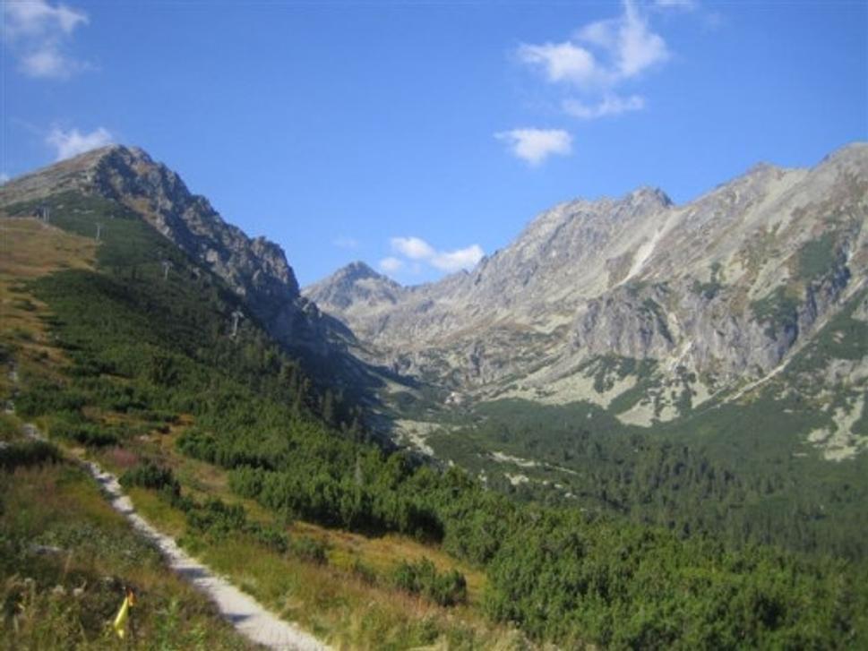 Obrázok blogu