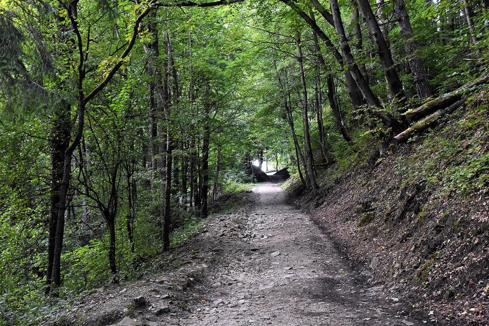 lesná cesta k hradu