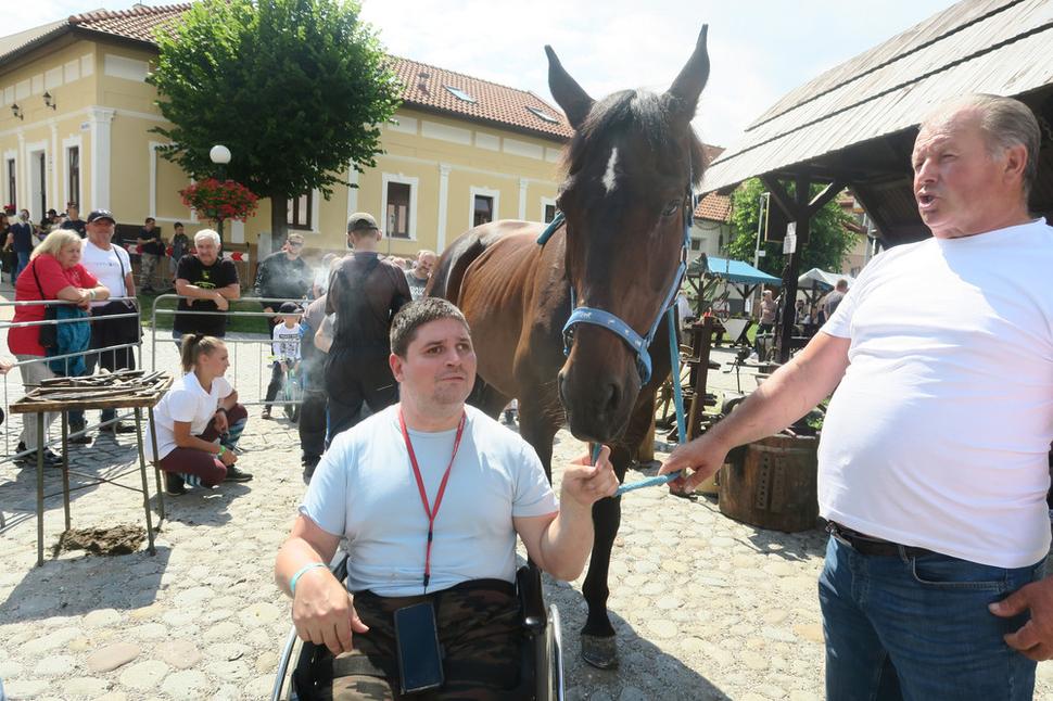 Mám veľmi rád kone.