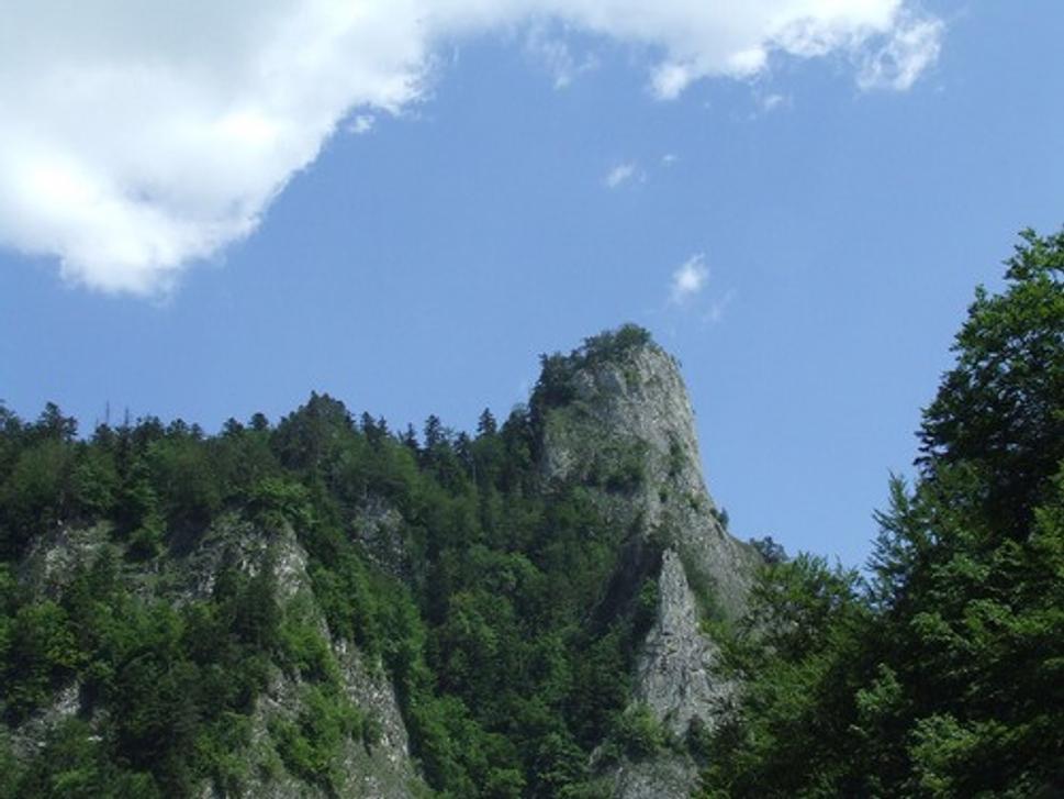 Obrázok blogu