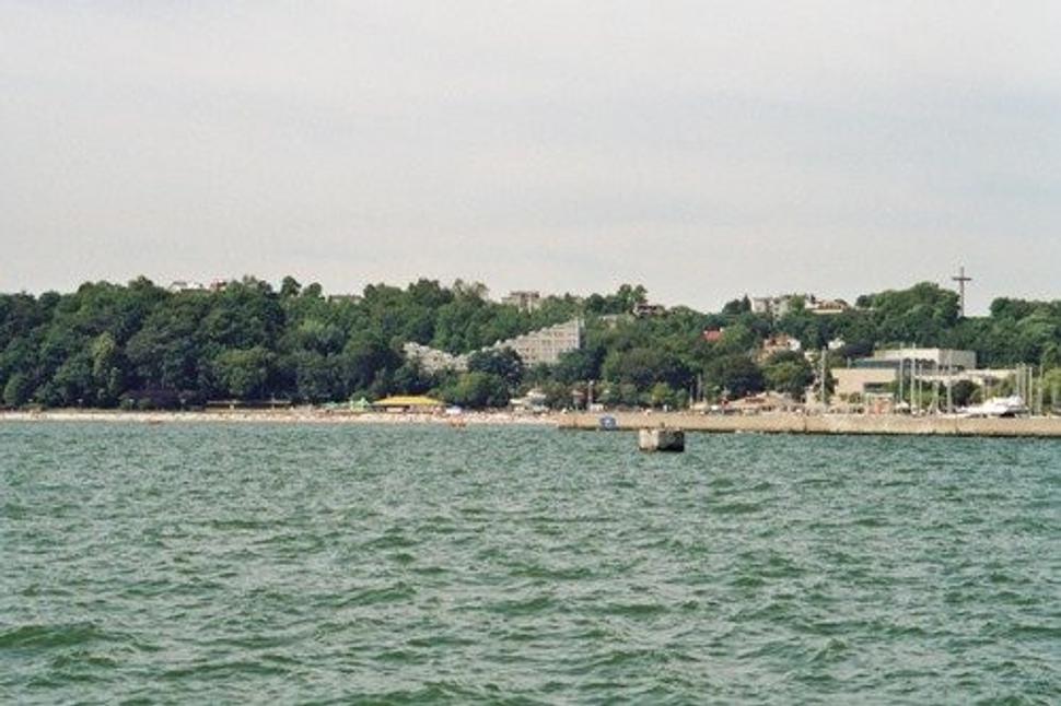 Obrázok blogu