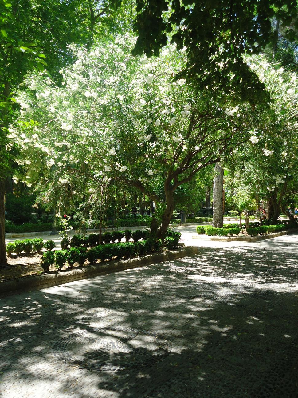Ronda - park