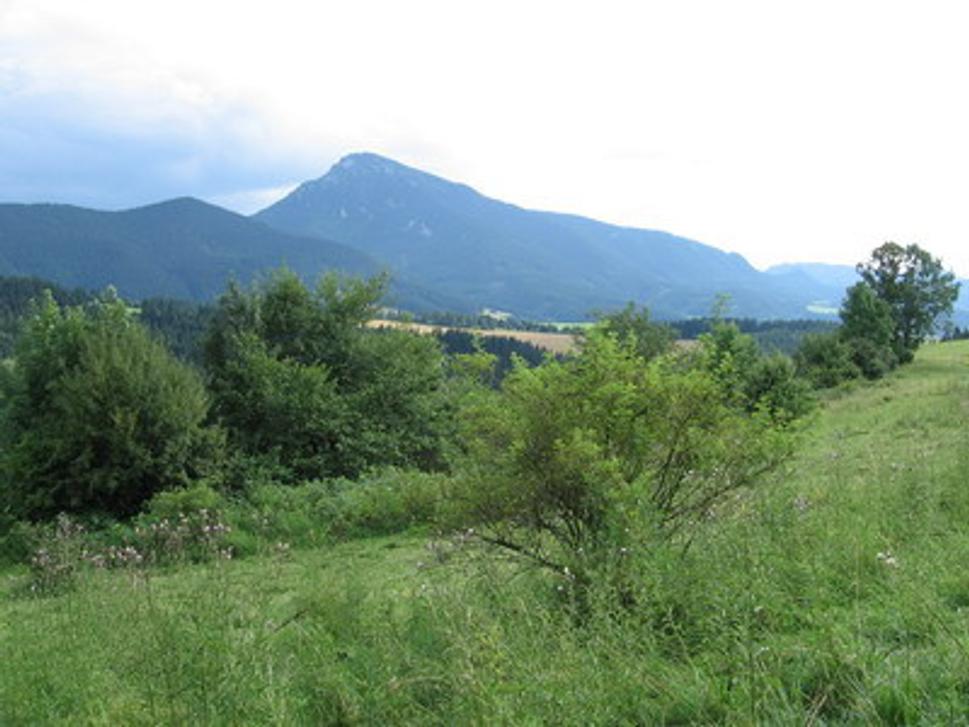 Obrázok blogu