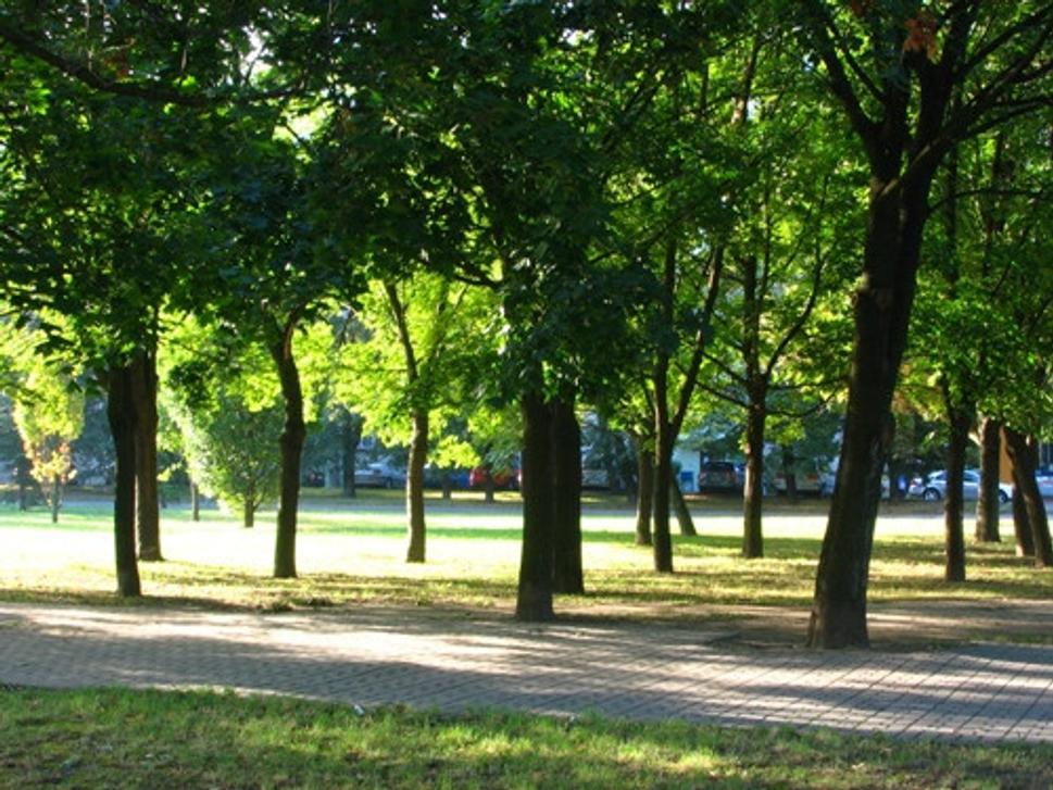 Obrázok blogu